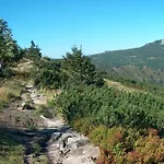 Vendégház Podlesi