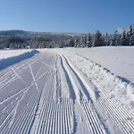 Podlesi