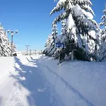 Podlesi 3* Kořenov
