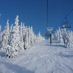 Podlesi Kořenov