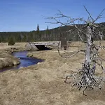 Podlesi 게스트하우스 Kořenov