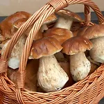 Vendégház Podlesi