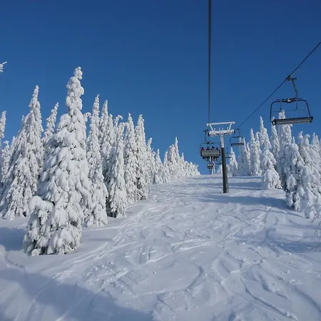 Podlesí Kořenov
