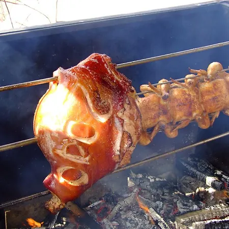 Podlesi Πανσιόν 3*