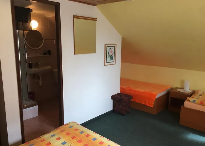 Podlesi Pensionat 3*